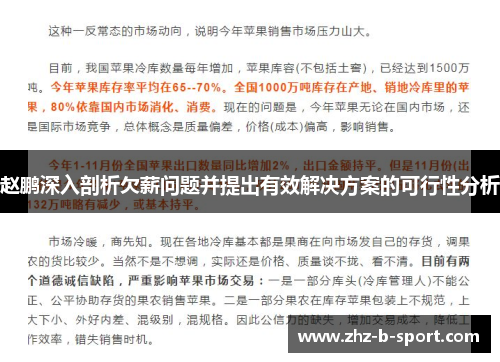 赵鹏深入剖析欠薪问题并提出有效解决方案的可行性分析