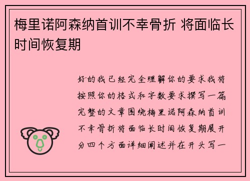 梅里诺阿森纳首训不幸骨折 将面临长时间恢复期